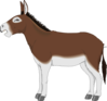 Brown And White Donkey Side View Clip Art